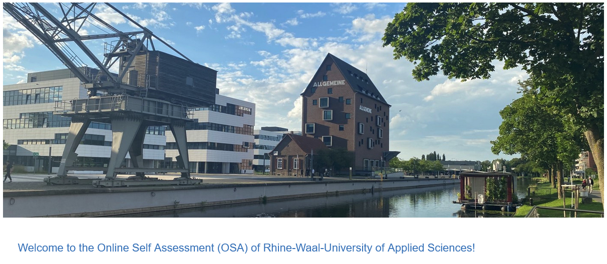 Screenshot Startseite Online Self Assessment (OSA)